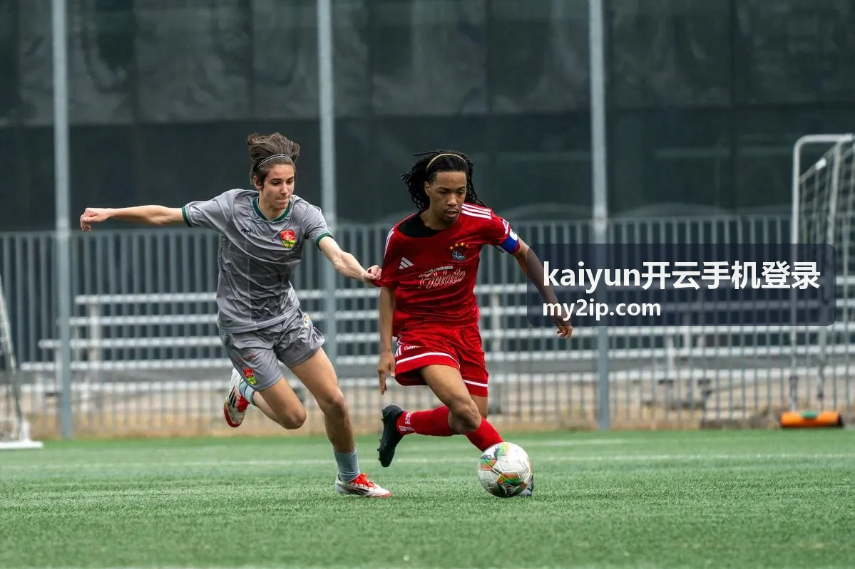 kaiyun开云手机登录手机端入口界面示意